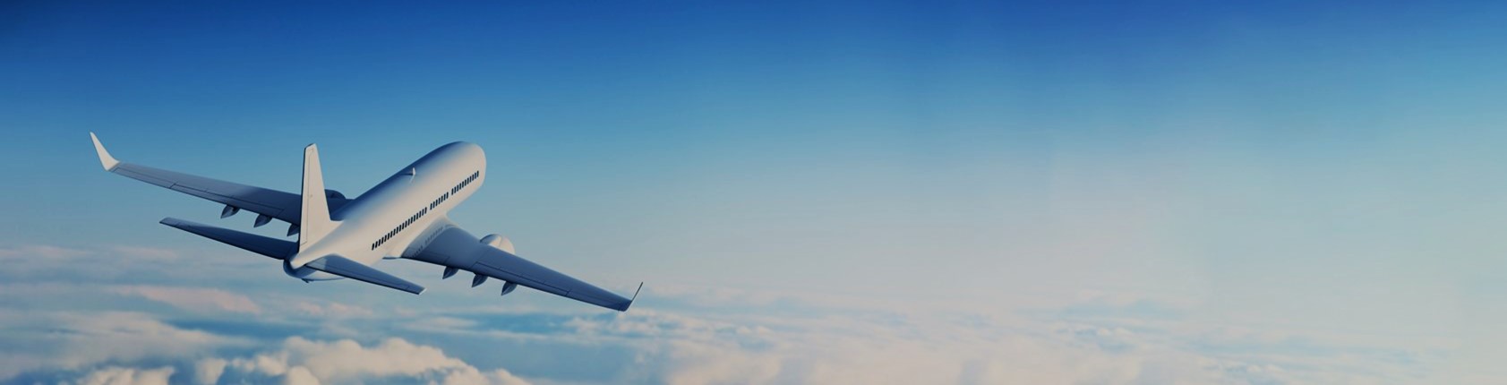 shareflight